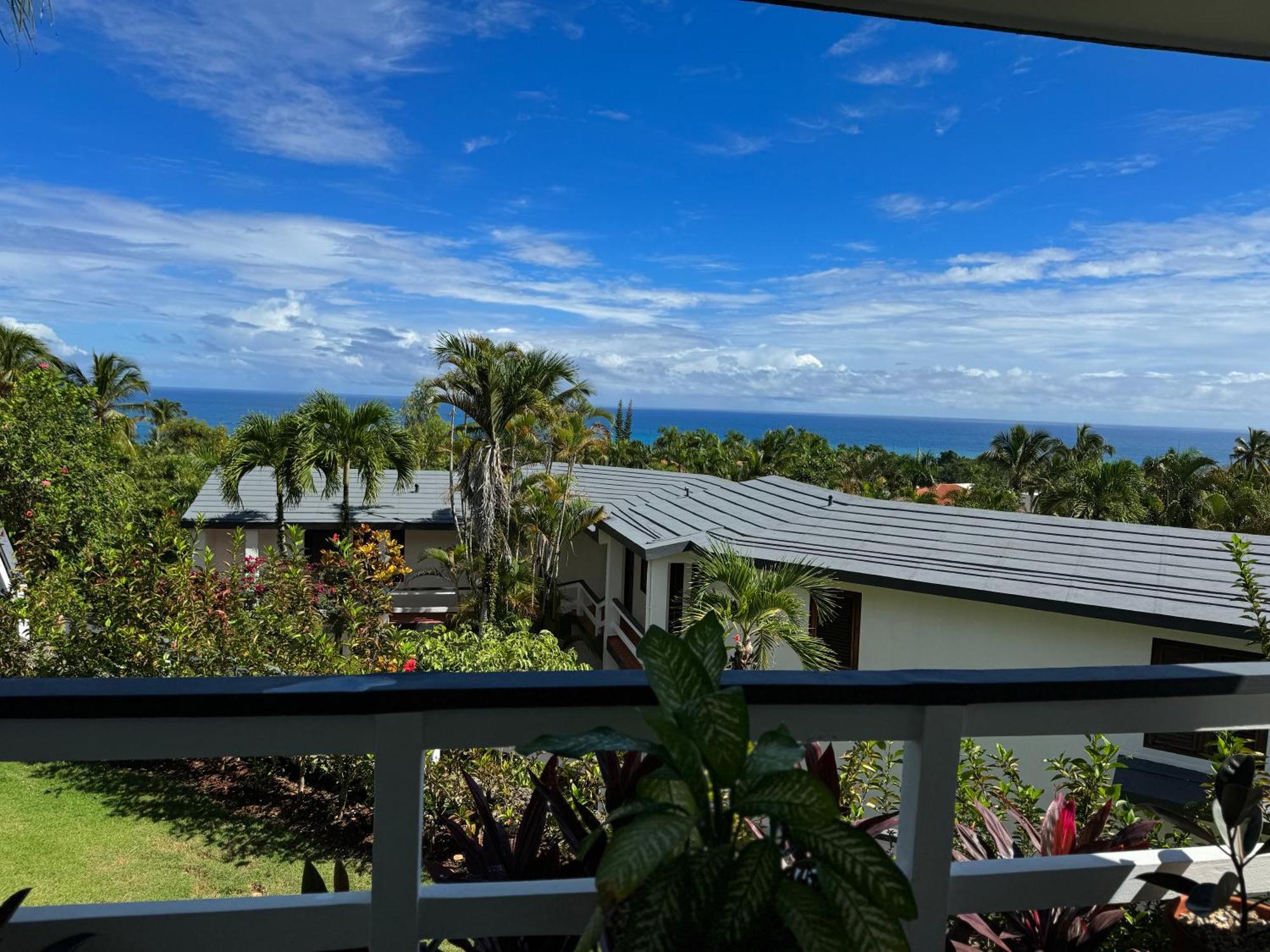 Catalina, Cabrera Oceanview Multi 2 Bd 2 Bath Condo Units With Balcony And Pool Eksteriør billede