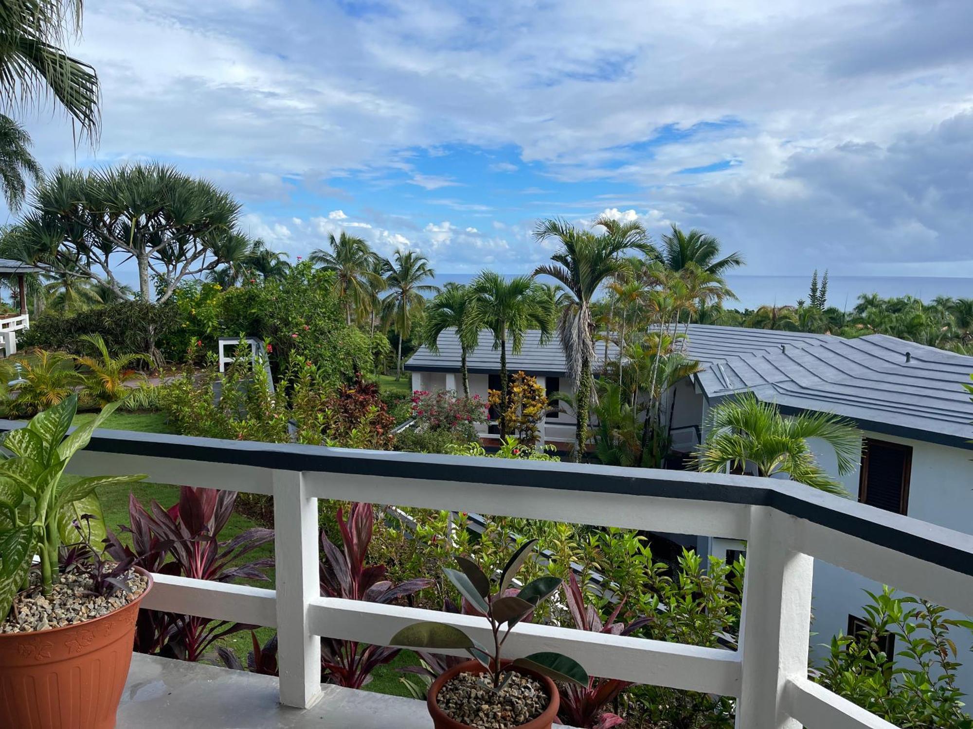 Catalina, Cabrera Oceanview Multi 2 Bd 2 Bath Condo Units With Balcony And Pool Eksteriør billede